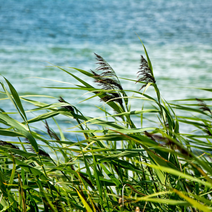 Fotorahmen An Wänden Montiert